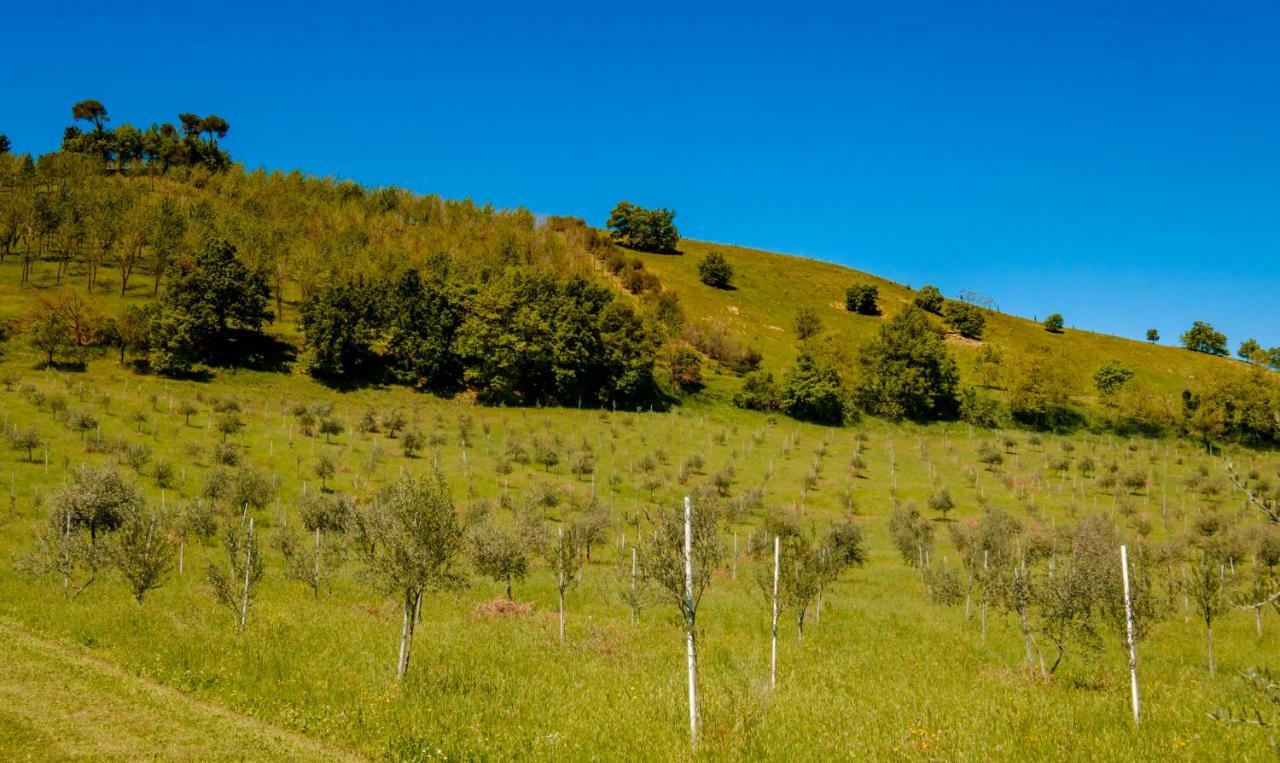 La Quercia - Bolognarooms Sasso Marconi Extérieur photo